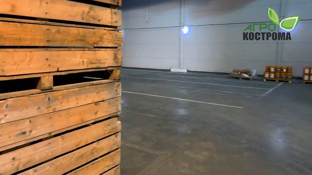 Картофельный гигант КДВ-Агро: интервью с Виктором Бескороваевым (Часть 1)