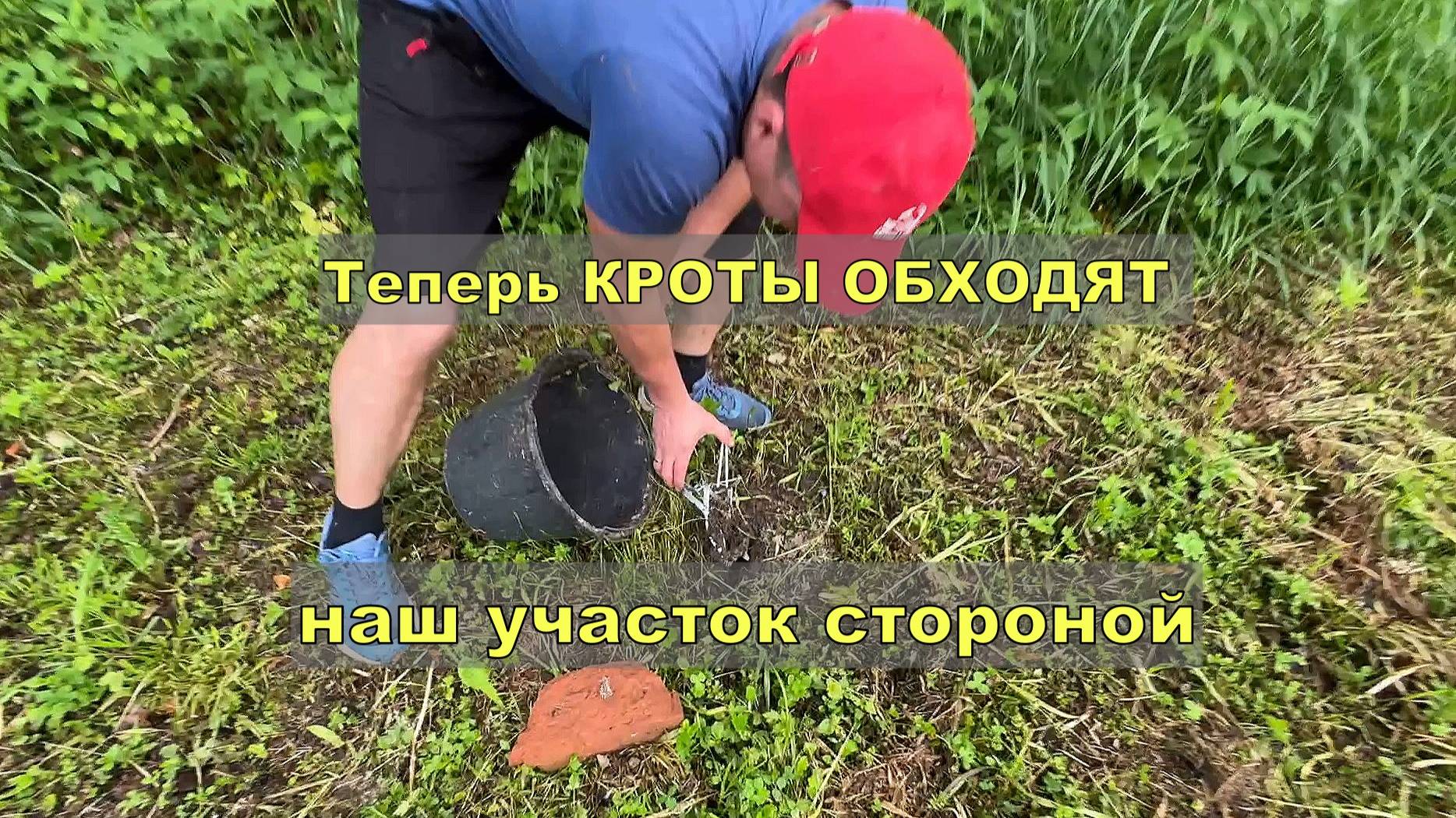 Теперь кроты обходят стороной наш участок