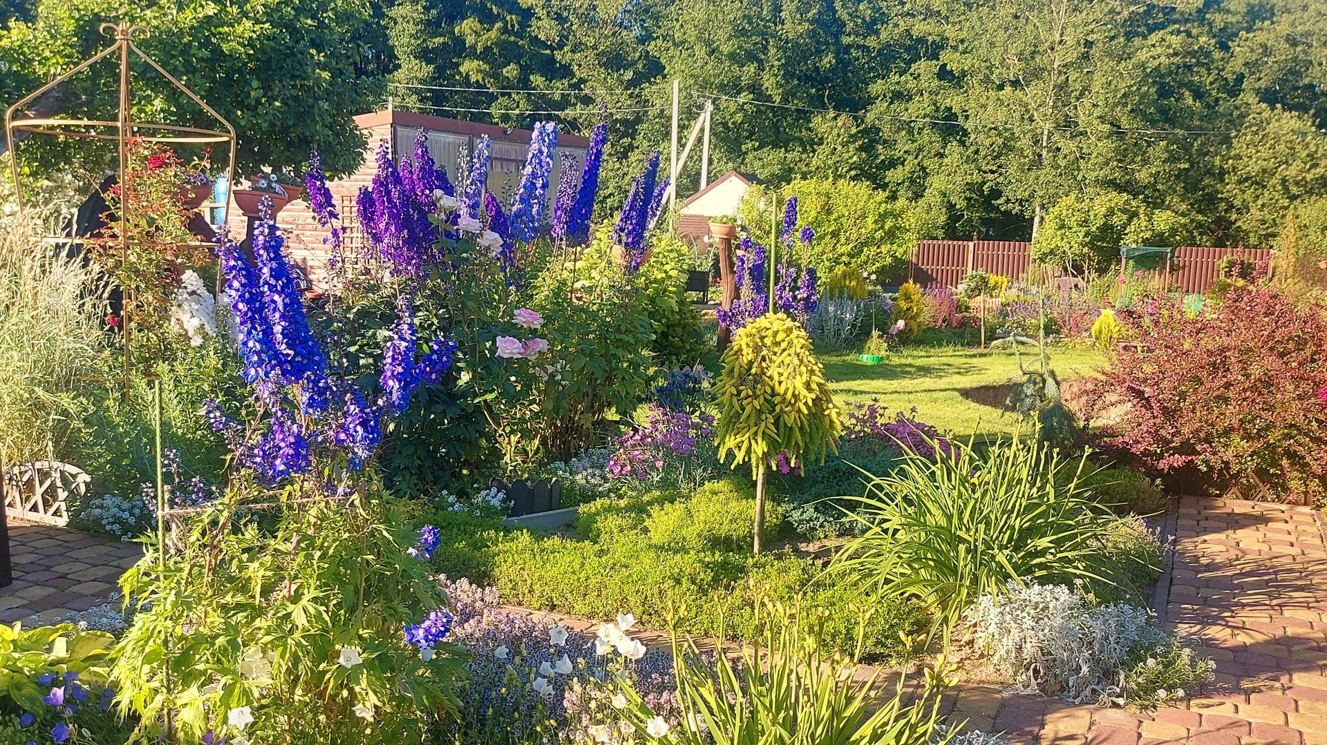 Один месяц лета позади🌞 Обзор дачи на 01.07.2025 г.🌞🍀🌺 смотреть онлайн