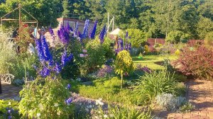 Один месяц лета позади🌞 Обзор дачи на 01.07.2025 г.🌞🍀🌺