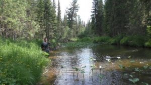 Жизнь ОТШЕЛЬНИКА в ДЕВСТВЕННОЙ ТАЙГЕ 2023 Даугли 1 Рыбалка Охота Поход Медведь Один в Лесу у реки