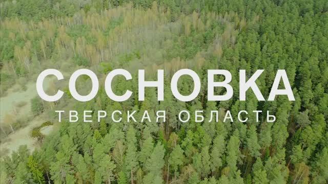 Сосновка смотреть онлайн