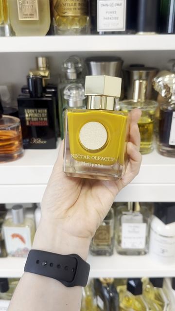 Самые комплиментарные ароматы 2025 смотреть онлайн