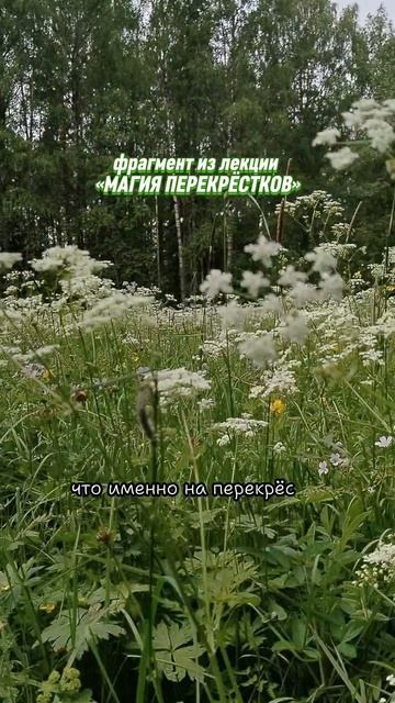 Магия перекрёстков