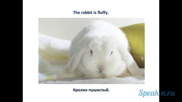 6_1_rabbit смотреть онлайн