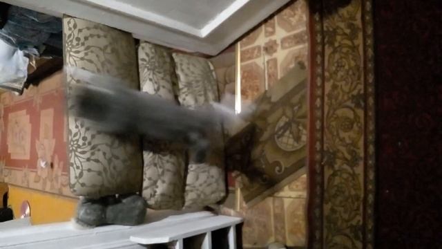 24 часа смотрю