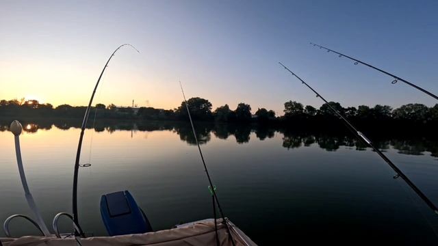 Рыбалка на Кубани ловим толстолобика,вторая часть. смотреть онлайн