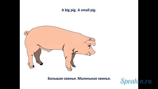 8_1_pig смотреть онлайн