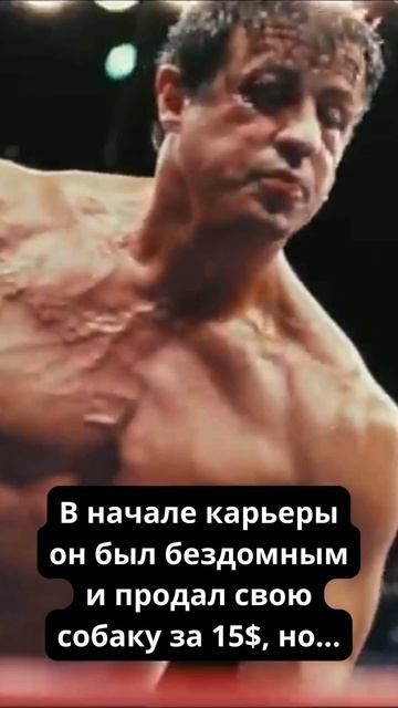 Интересные факты