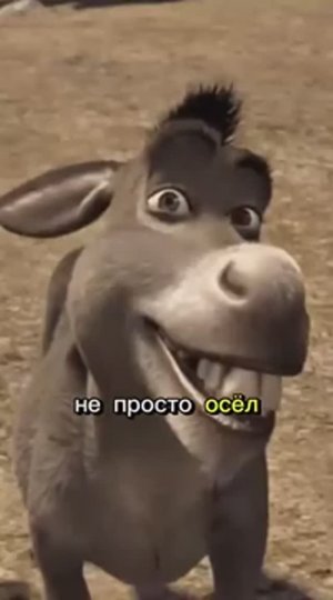 Ишак🤣😂