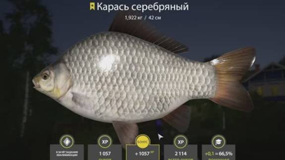 РУССКАЯ РЫБАЛКА 4 РР4 ТРОФЕЙНЫЙ СЕРЯБРЯННЫЙ КАРАСЬ КОМАРИНОЕ