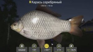 РУССКАЯ РЫБАЛКА 4 РР4 ТРОФЕЙНЫЙ СЕРЯБРЯННЫЙ КАРАСЬ КОМАРИНОЕ