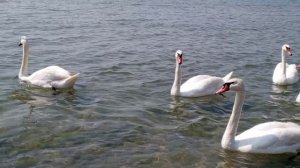 Путешествие Анапа 2025 отдых на море