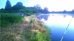 29 ЧАСОВ В ОЖИДАНИИ-а поймал всего одного! Рыбалка с палаткой на Крокодилы.