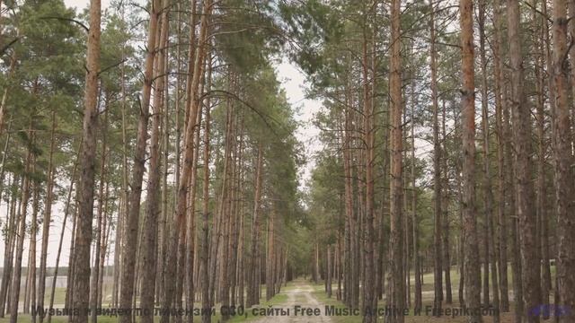 Клип, созданный искусственным сверхразумом - искусство будущего! - URLauB -- Phillip Gross -- HoLiDa