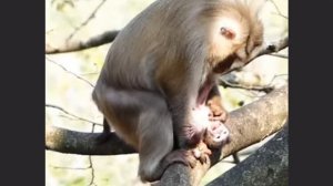 В этот день ... 1000018742.mp4