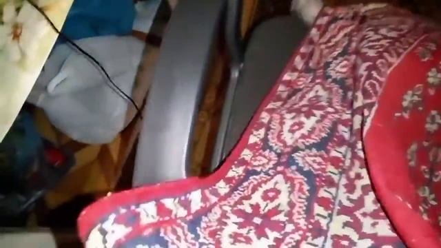 Попробуйте НЕ ЗАСМЕЯТЬСЯ) Или Типичный день кошки Аськи! Funny cats смешное прикольная кошка