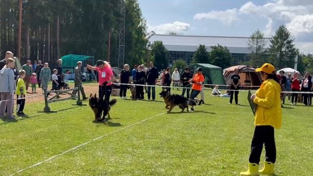 ПОДРОСТКИ КОБЕЛИ ДШ / КЧК ЗАРЕЧНЫЙ 22 июня`25 Ю.Скиба Моно немецких овчарок
