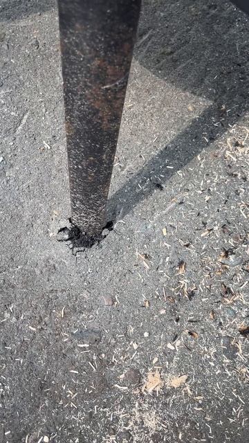 В Сибири на солнце 50% по Цельсию смотреть онлайн