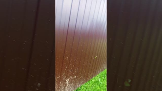 покос травы