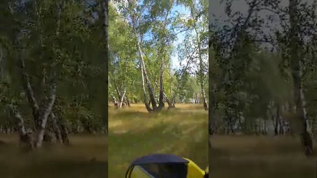 ЕДЕМ НА РЫБАЛКУ смотреть онлайн