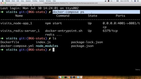 11. Container Status with Docker Compose