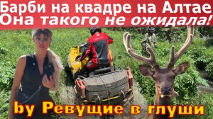 Девушка на квадроцикле по горам Алтая! Такого она точно не ожидала!!!