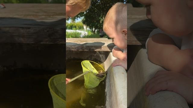 Ловим рака 🦞 смотреть онлайн