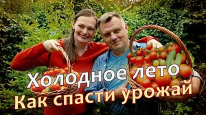 Холодное лето - Как спасти урожай