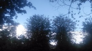 VID_20250703_083008.mp4