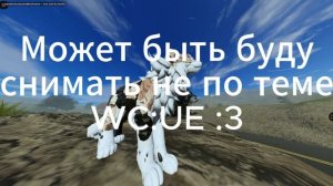 Спасибо за 27 котят! | Рест... Почему?