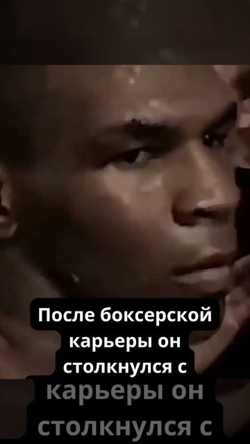 Интересные факты