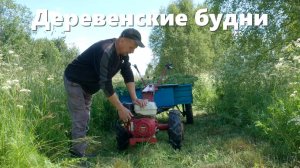 Бетонирую "Объект", ботаника в поле, сильнейшие ливни и деревенские будни.