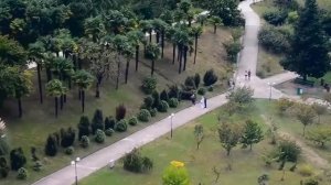 Дендрарий. Сочи. Верхняя часть.