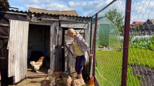 ВДАЛИ ОТ ГОРОДСКОЙ СУЕТЫ/НАВОДИМ УЮТ В ДОМЕ И ПОРЯДОК НА УЧАСТКЕ/ЖЕЛЕ ИЗ КРАСНОЙ СМОРОДИНЫ