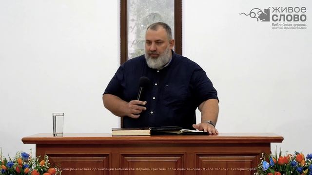 Я занят большим делом. Вячеслав Гринь смотреть онлайн