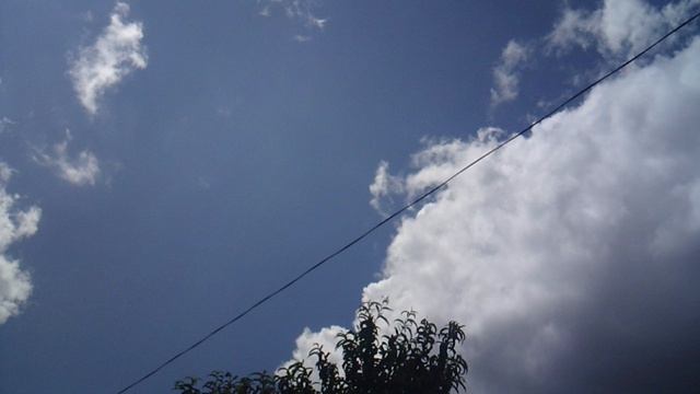 Движение облаков (в сравнении с деревом - персиком)