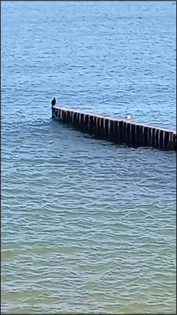 03-07-2025 В городе Зеленоградск Калининградской й области Балтийское море