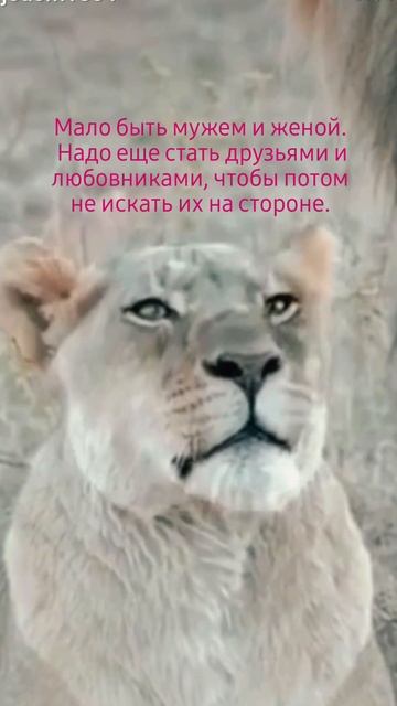Правда смотреть онлайн
