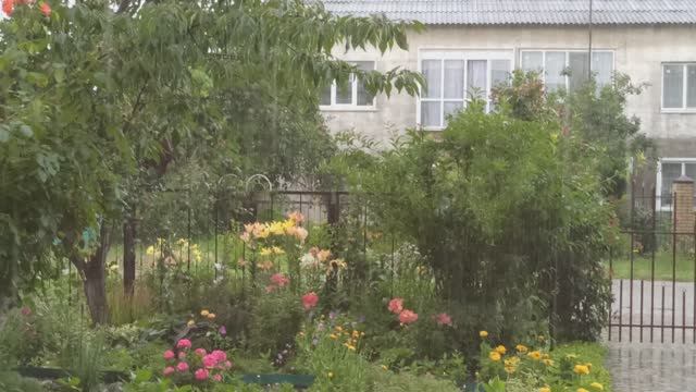 Всем, доброе, доброе утро! смотреть онлайн