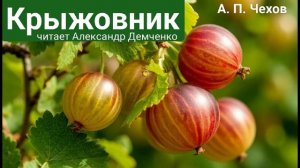 Чехов А. П. "Крыжовник". Рассказ. Аудиокнига