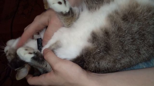 ❗❗ ЯРОСЛАВЦЫ - ВАМ!!  ❗❗ Кто тут из Ярославля???)) ПОСМОТРИТЕ, плиз  ❗❗