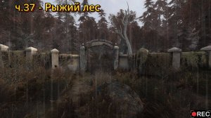 Сталкер 2 / S.T.A.L.K.E.R. 2 прохождение на русском | Рыжий лес | ч.37