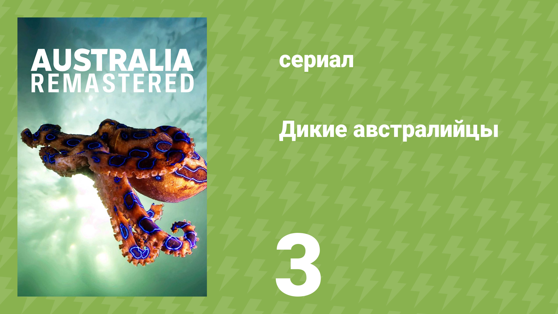 Дикие австралийцы 3 серия «Утконос и ехидна» (документальный сериал, 2020)