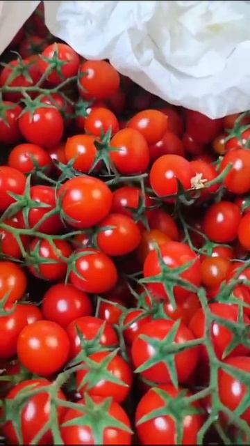 Помидоры Черри