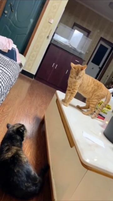 А что такое? смотреть онлайн