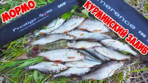 Мормышинг с лодки. Курминский залив. Иркутское водохранилище.