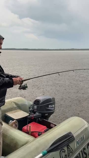 Рыбалка на ауху, редкую рыбу