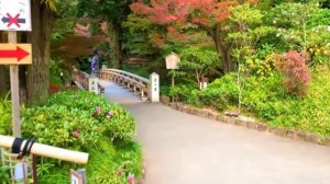 Япония, красивые места в Японии, прогулка в японском парке, обзор, экскурсия, туризм, отдых