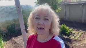 Пионы расцветают //🌺 квасим капусту//☘️домашние хлопоты//🌺